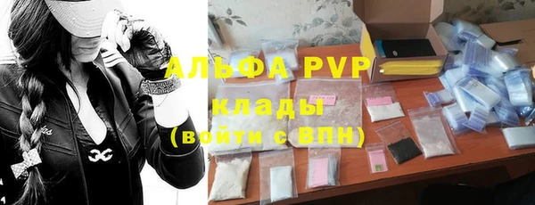 трава Богородицк
