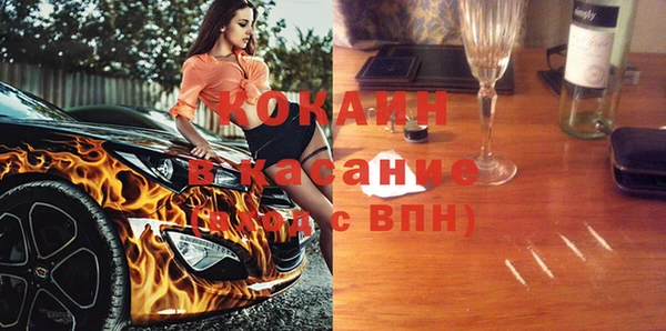 ешки Бородино