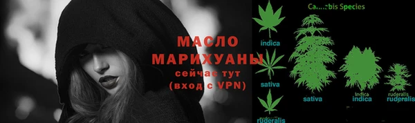 ешки Бородино