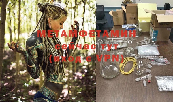 гашиш Богданович