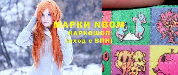 ешки Бородино