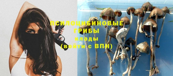 ешки Бородино