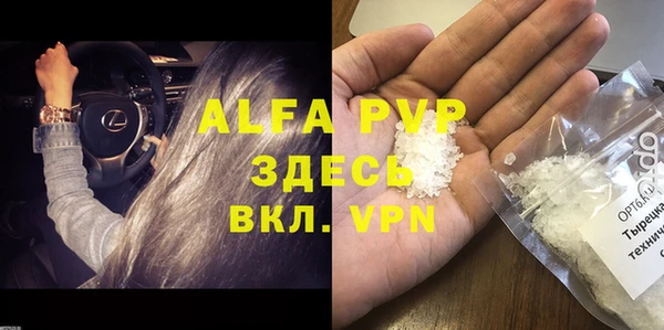 ешки Бородино