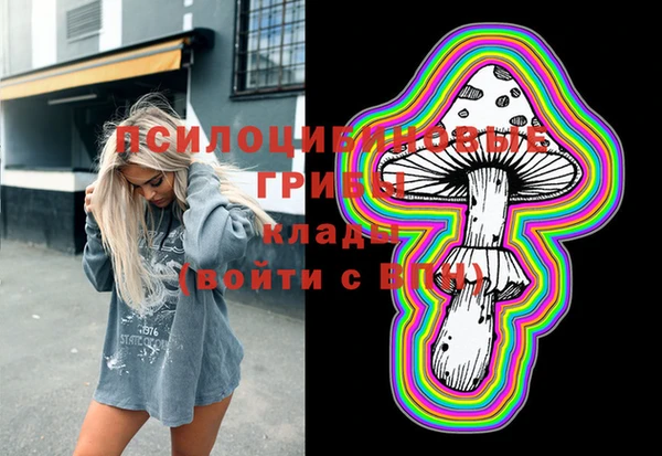 МДПВ Бронницы