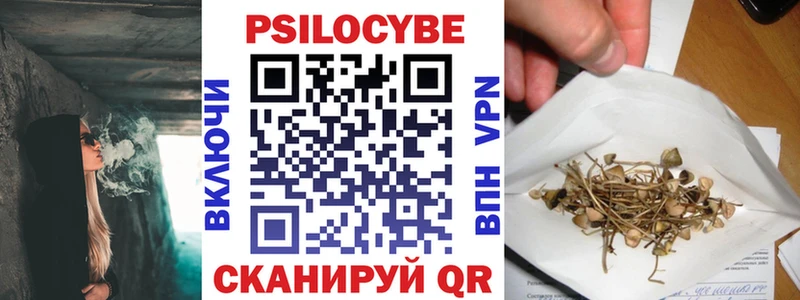 mega маркетплейс  Невьянск  Галлюциногенные грибы Psilocybine cubensis  наркотики 